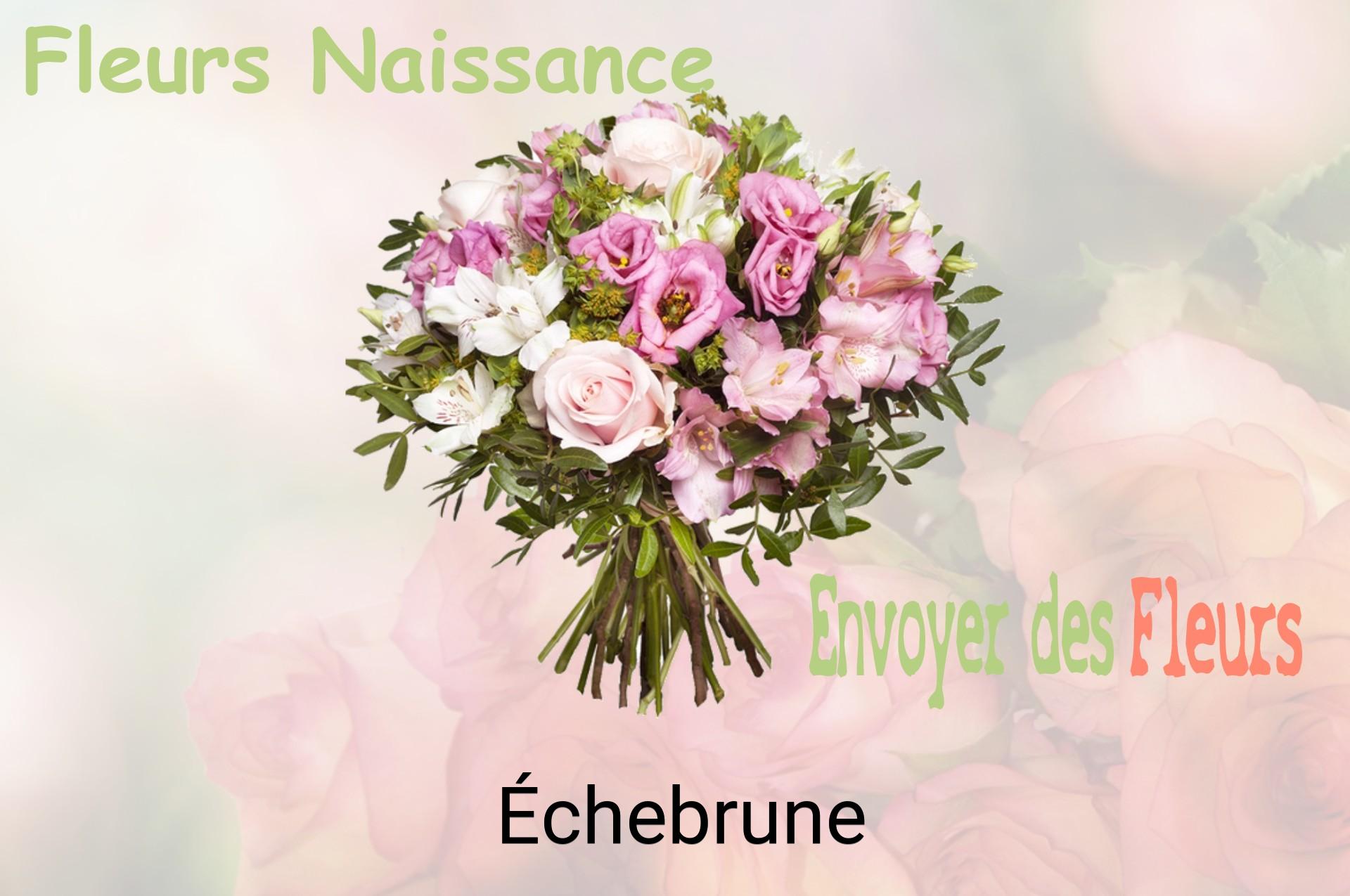 Bouquet de fleurs de naissance livré à Échebrune